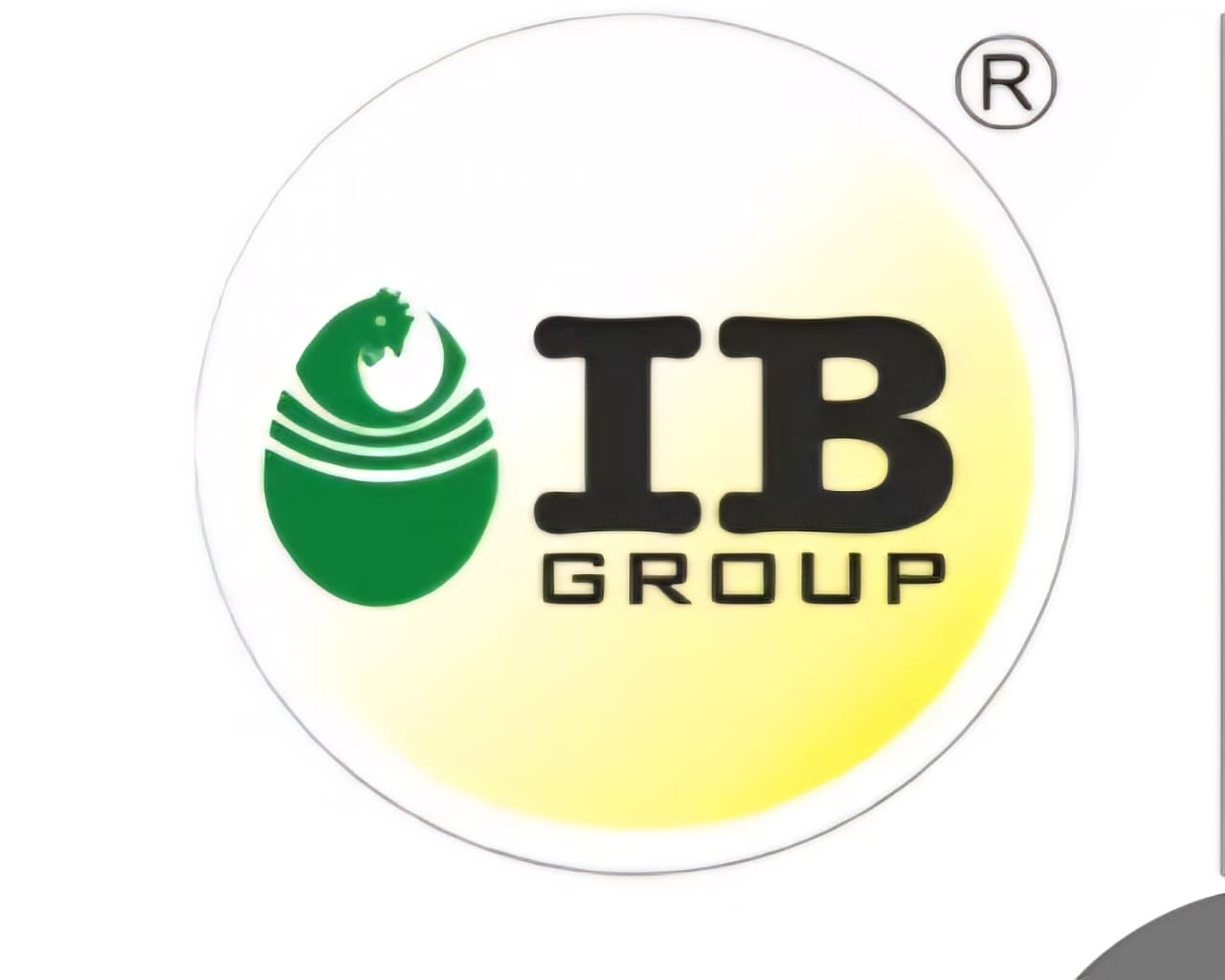 IB Group